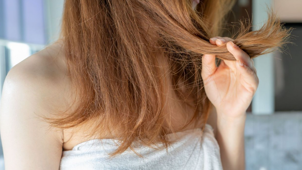 Les causes des cheveux secs et comment les prévenir