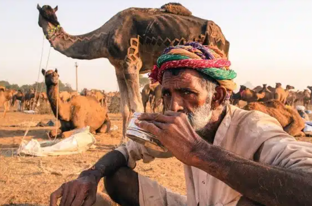 homme qui boit du lait de chamelle frais